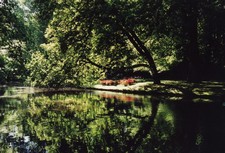 Vue du jardin