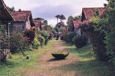 Plantation Leyritz - Rue 'Case ngre'