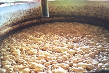 Bain de fermentation
