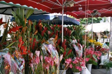 Marché aux fleurs