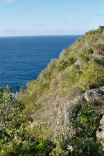 La pointe