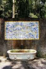 Floresta da Tijuca