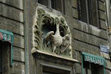 Le Cygne