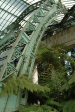 Le jardin d'hiver