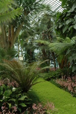 Le jardin d'hiver
