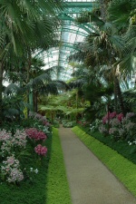 Le jardin d'hiver