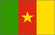 Drapeau du Cameroun