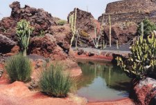 El Jardín de Cactus