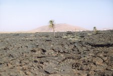 La coulée de lave