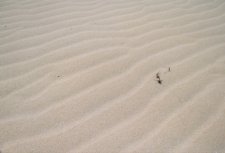 Parc naturel du Corralejo 