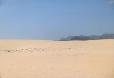 Parc naturel du Corralejo 