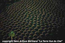La Geria par Yann Artus-Bertrand