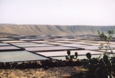 Las salinas de Janubio