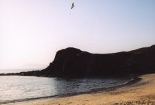 La plage de Papagayo
