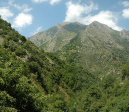 Desfiladero de Los Beyos