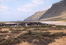 Las salinas del Rio
