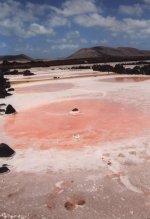 Las salinas del Rio