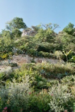 La Roque Gageac - Le jardin botanique