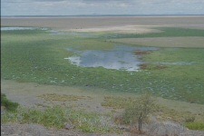 Vue du parc