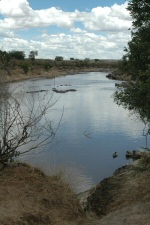 La rivière Mara
