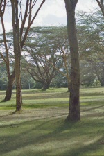 Parc de l'hôtel