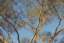 Parc de l'hôtel