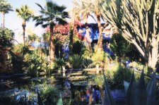 Le jardin Majorelle
