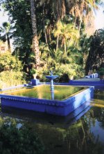 Le jardin Majorelle