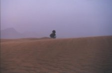 Tempête de sable