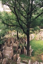 Cimetière Juif