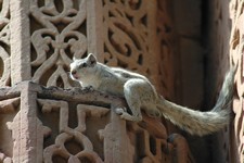 Mosquée du Qutub Minar