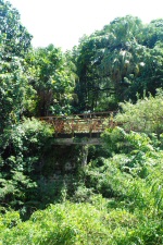 Bassin de la Paix