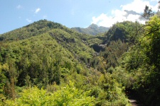 Cirque de Cilaos vers la Cascade du Bras Rouge