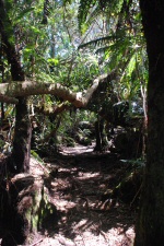 Sentier vers le Trou de Fer