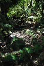 Sentier vers le Trou de Fer