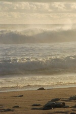 Vagues