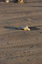 Sable - Détail