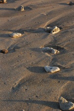Sable - Détail