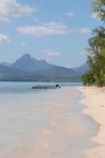 L'île des Bénitiers