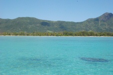 L'île des Bénitiers
