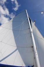 Catamaran - Staff