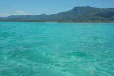 L'île des Bénitiers