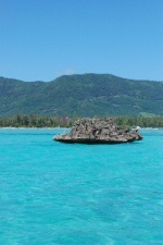 L'île des Bénitiers