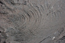 Lave cordée - Détail