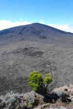Vue du Piton
