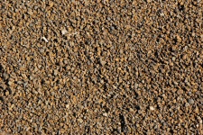 Sable