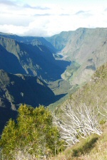 Point de vue sur la rivière