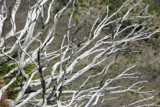 Détail