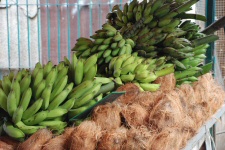 Le grand et le petit marché