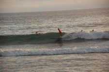 Surfer